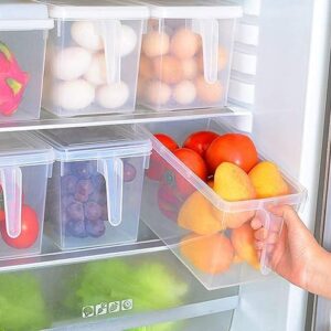 3L PLASTIC FRIDGE CONTAINER WITH HANDLE