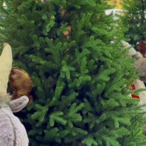 AMERICAN PINE CHRISTMAS TREE (6FT)